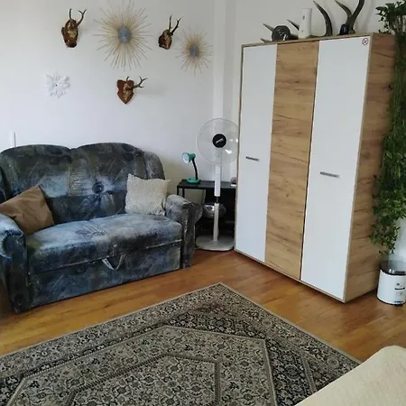 Sun Homestay